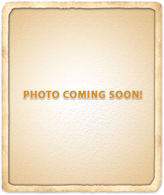 indian harbour beach veterinarians