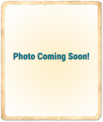 indian harbour beach veterinarians