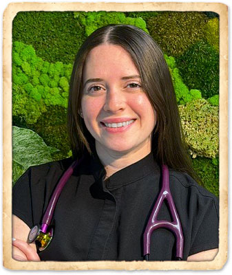 indian harbour beach veterinarians