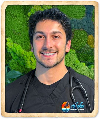 indian harbour beach veterinarians